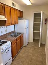 1-bedroom apartment at Moses Court Apartment Homes in Raleigh